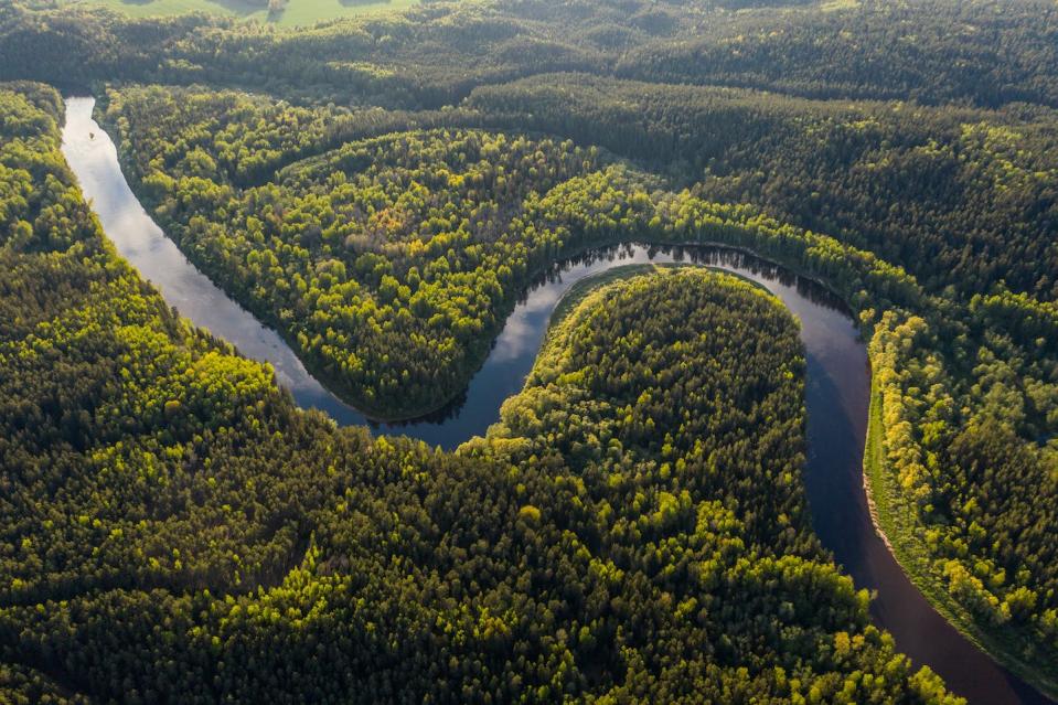 Los sumideros de carbono, como los bosques tropicales, absorben la mitad de las emisiones de CO₂ liberadas por las actividades humanas. Ivars Utinans / Unsplash, <a href="http://creativecommons.org/licenses/by/4.0/" rel="nofollow noopener" target="_blank" data-ylk="slk:CC BY;elm:context_link;itc:0;sec:content-canvas" class="link ">CC BY</a>