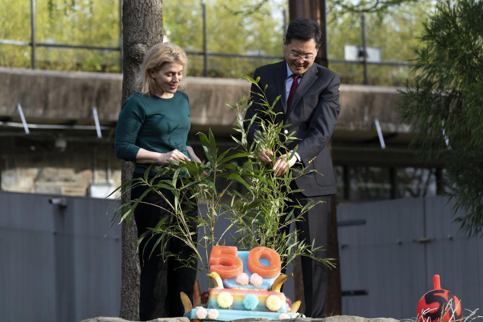 Zoo Director Brandie Smith and Chinese Ambassador to the U.S. Qin Gang place bamboo on the fruitsicle cake during the celebration of the Smithsonian's National Zoo and Conservation Biology Institute, 50 years of achievement in the care, conservation, breeding and study of giant pandas at the Smithsonian's National Zoo in Washington, Saturday, April 16, 2022. (AP Photo/Jose Luis Magana)