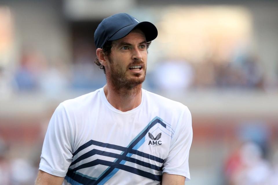 Andy Murray hit back at Farage (Getty Images)