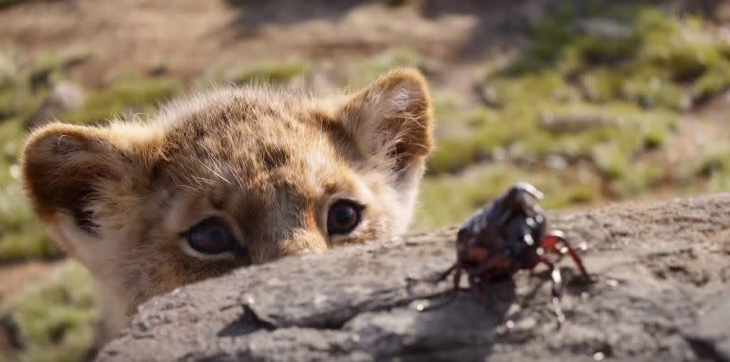 The Lion King new trailer reveals major characters (Credit: Disney)