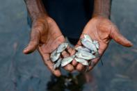 A man holds dead fish picked from a polluted river in Ogoniland, Rivers State