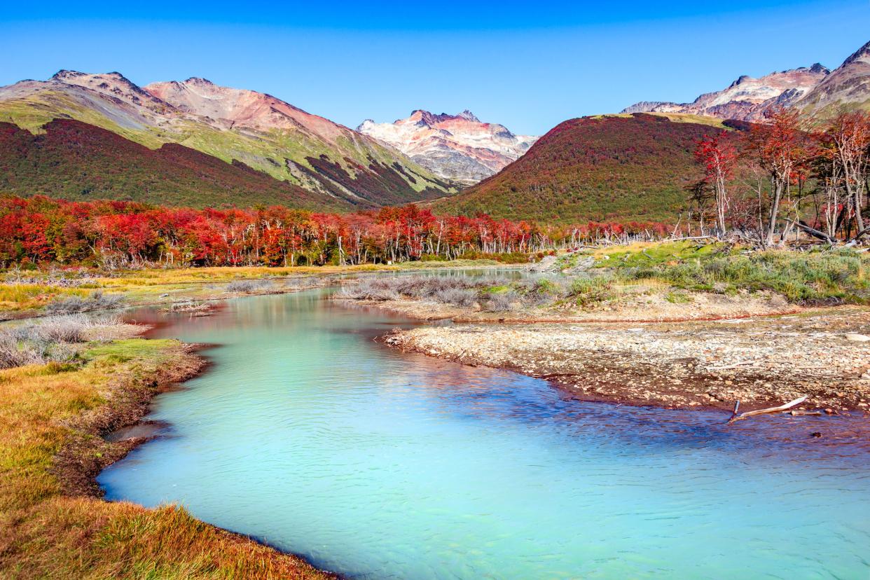 lenga forest, mountains at tierra del fuego national park, patagonia