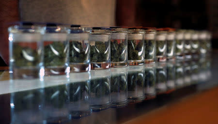 A variety of medicinal marijuana buds in jars are pictured at Los Angeles Patients & Caregivers Group dispensary in West Hollywood, California U.S., October 18, 2016. REUTERS/Mario Anzuoni