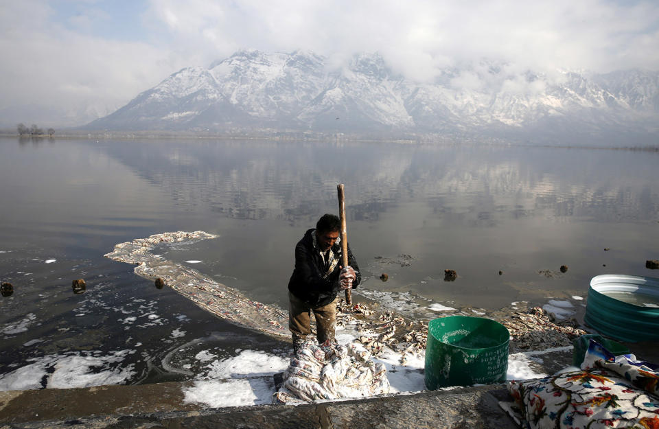 Weather in Srinagar