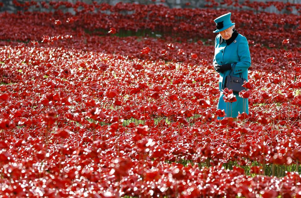 the queen longest reign poppy 2014