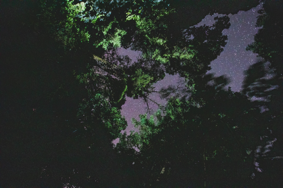 This upward view at the authors’ field research site in Monteverde, Costa Rica, shows how artificial light competes with the night sky. Samuel Fabian, <a href="http://creativecommons.org/licenses/by-nd/4.0/" rel="nofollow noopener" target="_blank" data-ylk="slk:CC BY-ND;elm:context_link;itc:0;sec:content-canvas" class="link ">CC BY-ND</a>