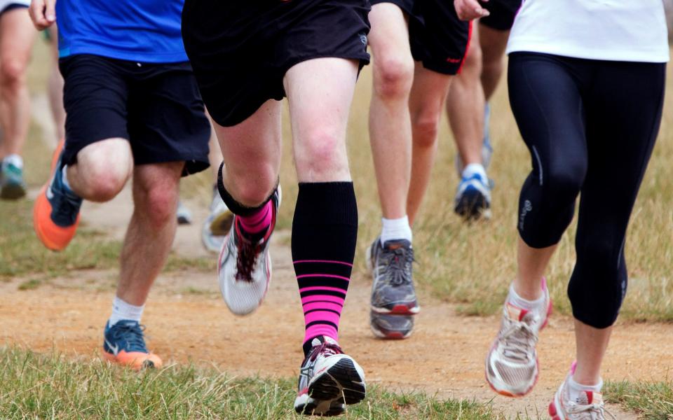 Parkrun in Bushy Park - Parkrun to delete runners' statistics as it prepares to double down in records row