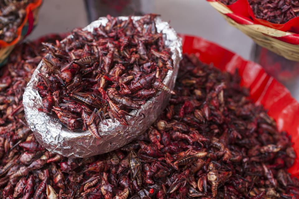 Chapulines o saltamontes se venden, un platillo ancestral mexicano, se ofrecen en el Mercado Benito Juárez de la ciudad de Oaxaca, Mexico. (Getty Images)