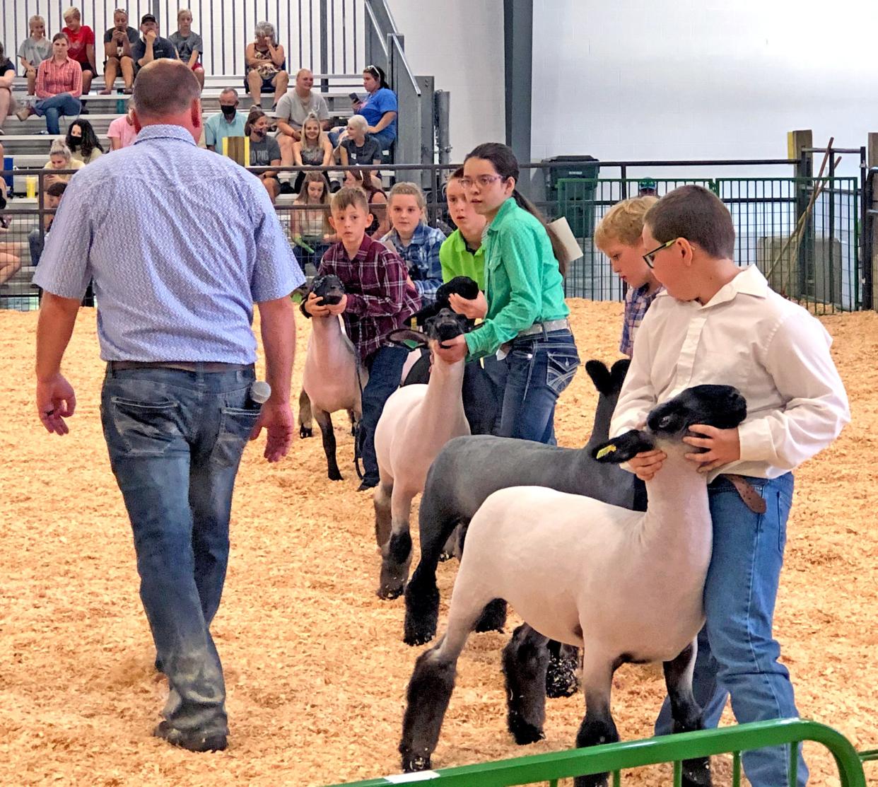 Youths participate in the sheep junior showmanship class at the Holmes County Fair.