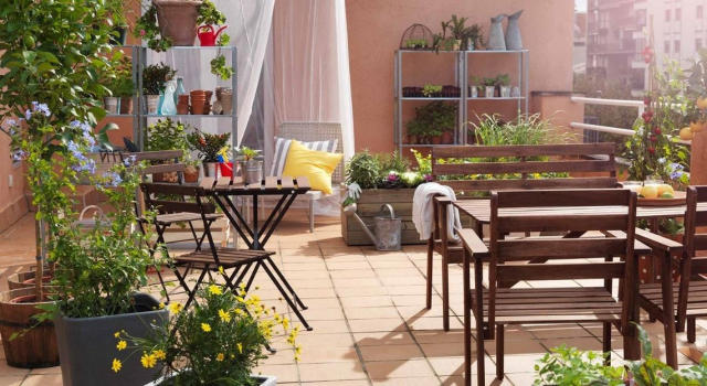 9 plantes d'intérieur XXL pour végétaliser son intérieur à