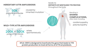 About Transthyretin (ATTR) Amyloidosis