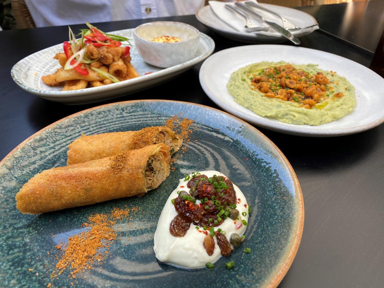 Clockwise from bottom left: smoked lamb shoulder cigars; calamari fritti; and hummus (Molly Codyre)