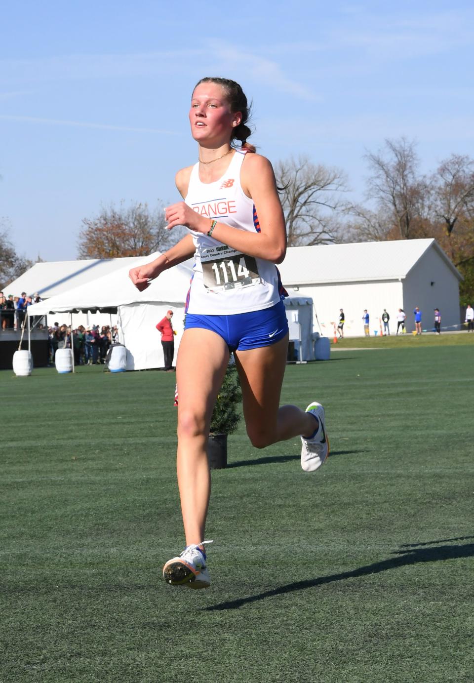 Olentangy Orange's Brooke Chapman placed fourth in Division I.