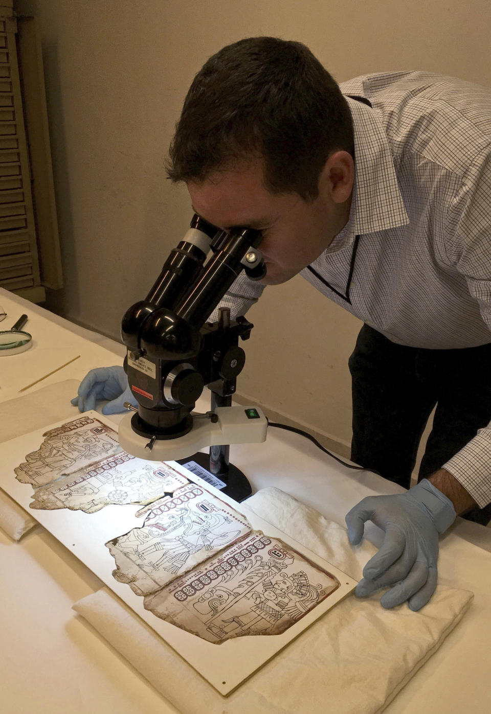 This undated photo released by Mexico's National Anthropology and History Institute (INAH) shows a worker inspecting an ancient Maya pictographic text in Mexico City. The INAH says the text was made between 1021 and 1154 A.D., is the oldest known pre-Hispanic text, and will now be known as the "Mexico Maya Codex." (INAH via AP)