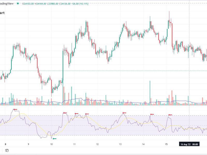 Bitcoin/U.S. dollar hourly chart, along with RSI metric (Glenn Williams Jr./TradingView)