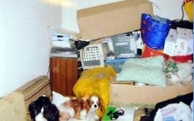 A dog is seen in amongst the clutter in the house - Credit: East Anglia News Service