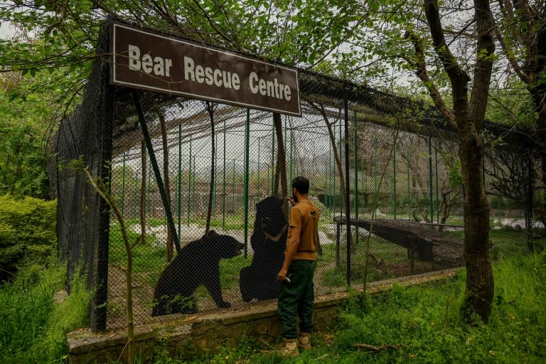 Un soigneur s'occupe des ours noirs d'Asie au centre de sauvetage de Margalla Wildlife, l'ancien parc zoologique d'Islamabad, le 27 mars 2024 au Pakistan (Aamir QURESHI)