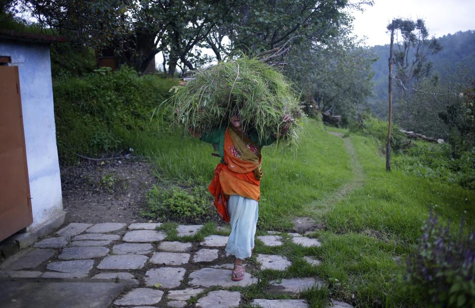 In this Aug. 24, 2012 photo, Hira Devi, mother of B2R employee Bhuwan Butholia, returns home carrying fodder for their domestic animals in Simayal, India. Butholia, 28, who used to make 8,000 rupees (US$160) with overtime in an auto parts factory 150 kilometers (90 miles) away, said the lower salary at B2R was a reasonable tradeoff for being able to look after his parents and live with his wife and five-month-old baby. His mother disagreed. "We were poor. We are still poor." (AP Photo/Saurabh Das)