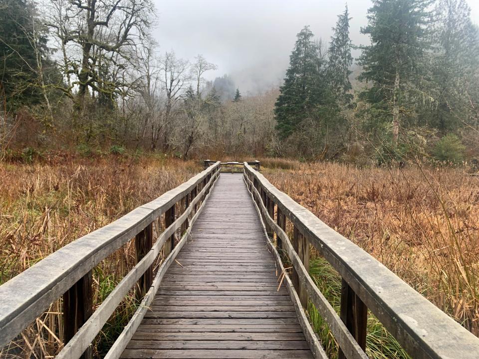 The Wildwood Recreation Area, off Highway 26 near Welches, features hiking trails and views of the Salmon River, along with educational displays, artwork and boardwalk trails.