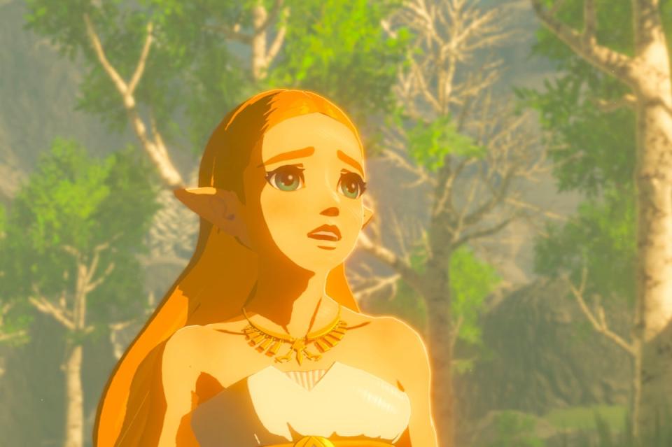 Zelda in Breath of the Wild (Nintendo)