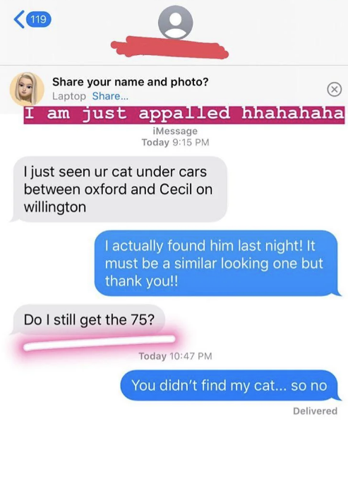 "You didn't find my cat... so no"