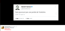 <p>Par contre, les Yorkshire un peu grandi.</p>