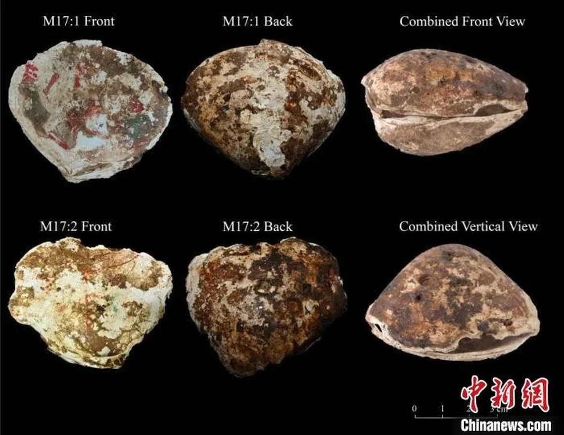 Painted shells are rare in archaeological record and are usually dirty and damaged, researchers said. China News Network