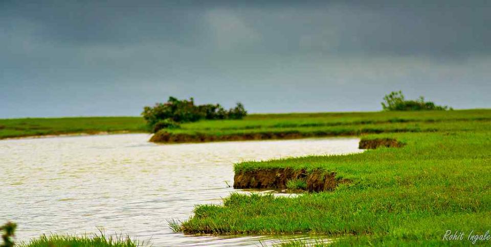 Monsoon landscape