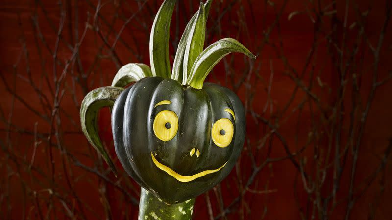 pumpkin carving ideas monster pumpkin