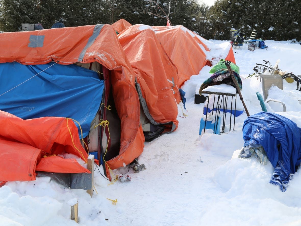 A woman died while living in a tent on Fredericton's north side in November. Pictured is a file photo of a tent set up on the city's south side in a previous year. (Jordan Gill/CBC - image credit)