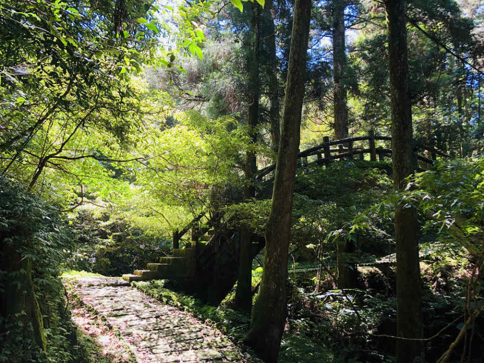 自導式步道(圖片來源：行政院農業委員會林務局)