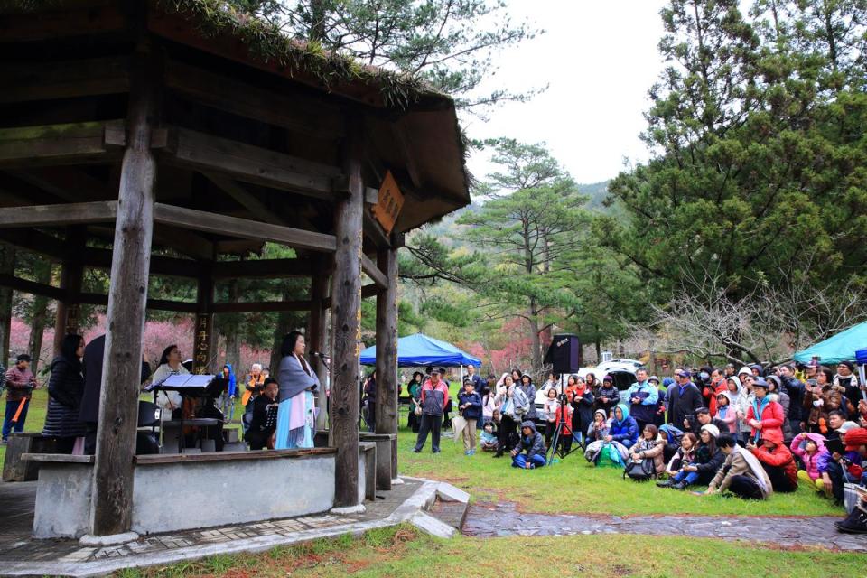 武陵農場每年都會在梅花盛開時，舉辦戶外音樂會。