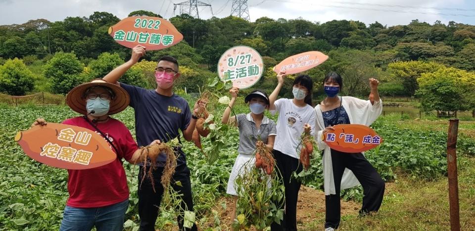 8月27日金山甘藷季主活動千萬別錯過。   圖：金山區公所提供