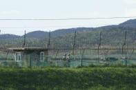 South Korean army soldiers patrol along the barbed-wire fence in Paju, South Korea, near the border with North Korea, Sunday, Sept. 26, 2021. The powerful sister of North Korean leader Kim Jong Un said Saturday that her country will take steps to repair ties with South Korea, and may even discuss another summit between their leaders, if the South drops what she described as hostility and double standards. (AP Photo/Ahn Young-joon)