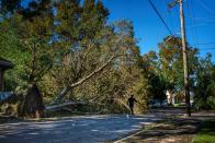 Hurricane Zeta aftermath in New Orleans