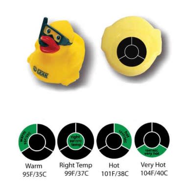 Temperature Test Duck