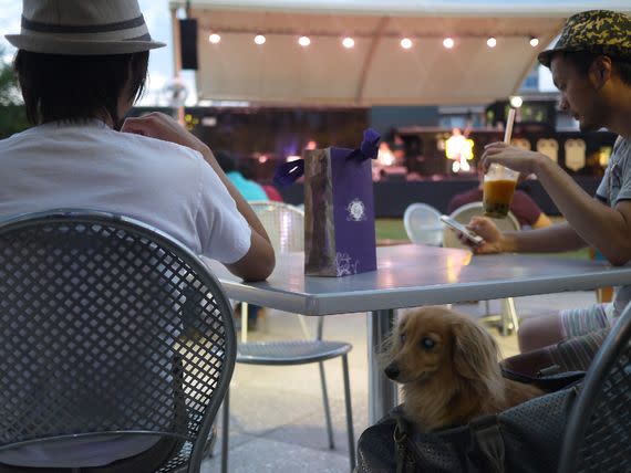 People watching a concert in the downtown Container Park (kennejima/Flickr)