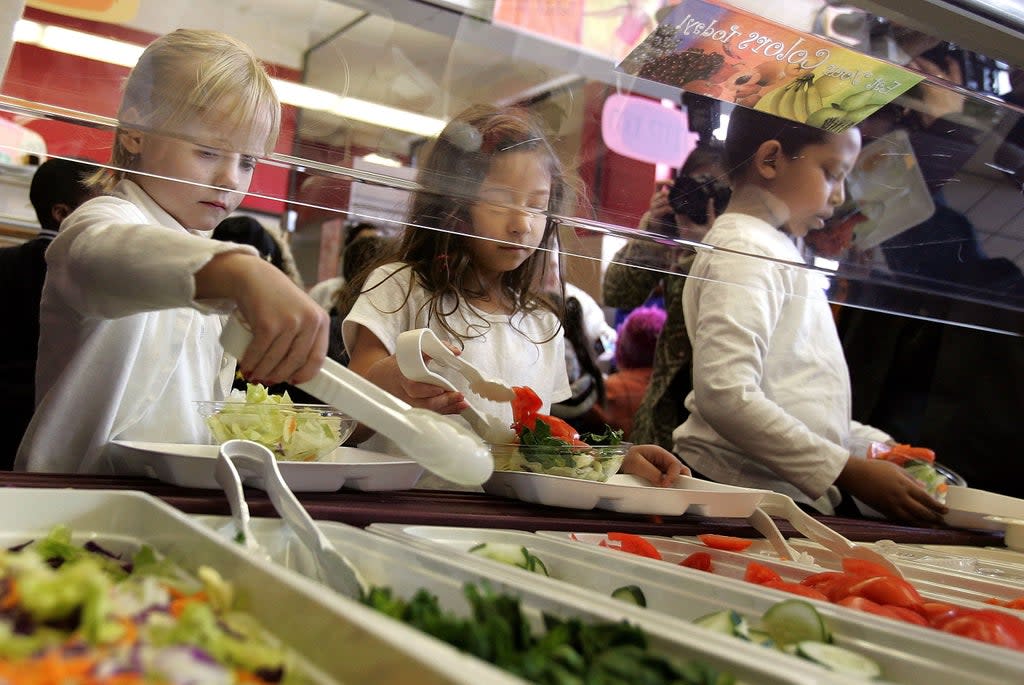 ‘Do we really want to normalise secretive surveillance in the lunch queue at school canteens? Isn’t anyone at all concerned about how that data will be collected, categorised and used in the years to come?’  (Getty Images)