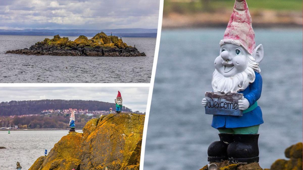 Welcome To 'gnome Island' - Remote Outcrop Covered With Garden Ornaments