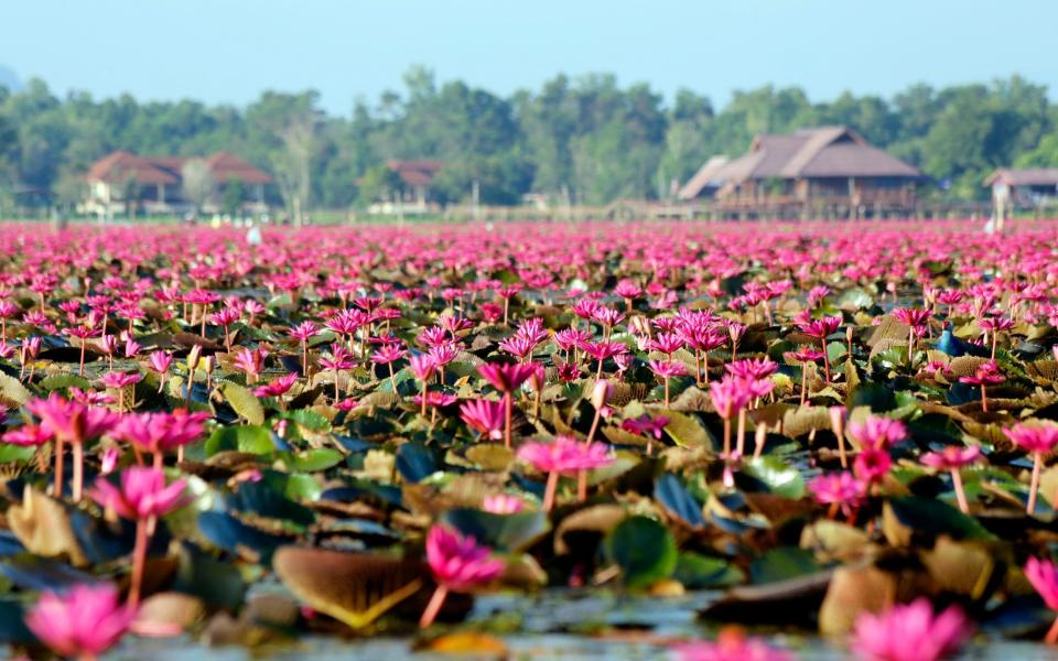 Thailand holidays Slow travel grey guide authentic travel experiences trips for over 60s summer 2022 - Getty