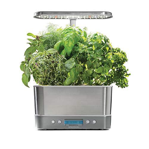 <p><strong>AeroGarden</strong></p><p>amazon.com</p><p><strong>$217.56</strong></p><p><a href="https://www.amazon.com/dp/B07CKVMXHR?tag=syn-yahoo-20&ascsubtag=%5Bartid%7C10055.g.28497189%5Bsrc%7Cyahoo-us" rel="nofollow noopener" target="_blank" data-ylk="slk:Shop Now;elm:context_link;itc:0;sec:content-canvas" class="link ">Shop Now</a></p><p>This compact indoor garden offers the versatility of growing herbs or salad greens quickly. In our tests, we found that it was very easy to set up and appreciated the lighted reminders to add plant food and water.</p><p>RELATED: <a href="https://www.goodhousekeeping.com/home/gardening/g36521619/best-indoor-herb-garden-kits/" rel="nofollow noopener" target="_blank" data-ylk="slk:10 Best Indoor Herb Garden Kits of 2022;elm:context_link;itc:0;sec:content-canvas" class="link ">10 Best Indoor Herb Garden Kits of 2022</a></p>