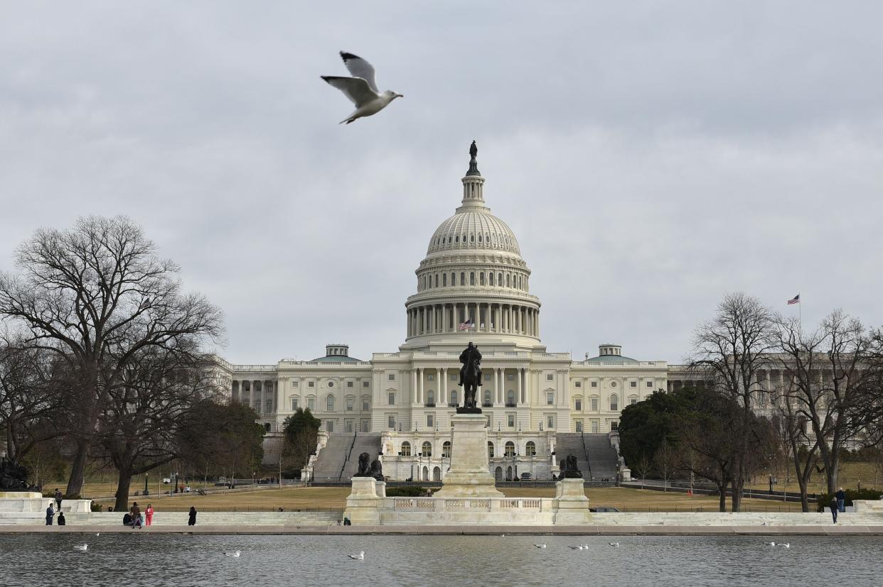 <p>The US Capitol is seen in Washington</p> (AFP via Getty Images)