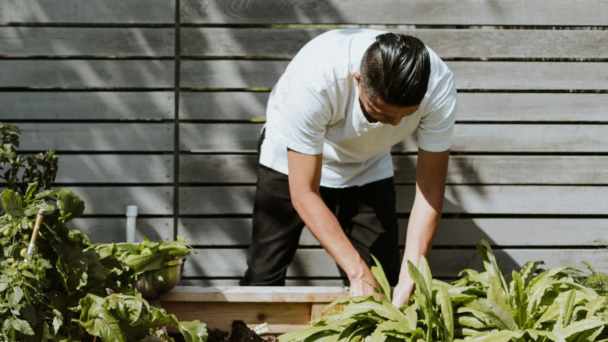 S'occuper de ses plantes peut être un entraînement et un stimulant pour l'humeur. | Priscilla Du Preez ���� via Unsplash