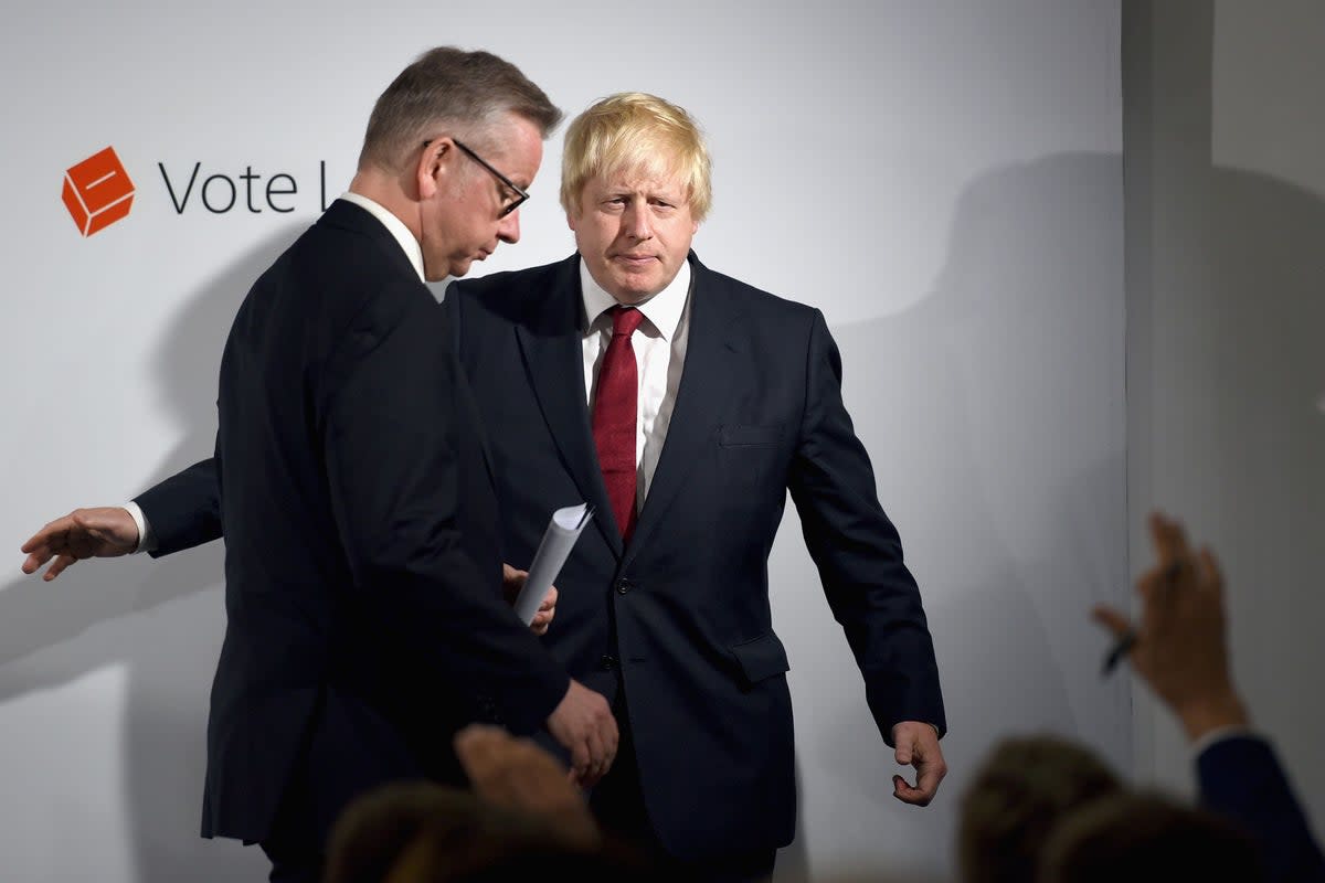 Boris Johnson and Michael Gove on the morning after the EU referendum (AFP/Getty)