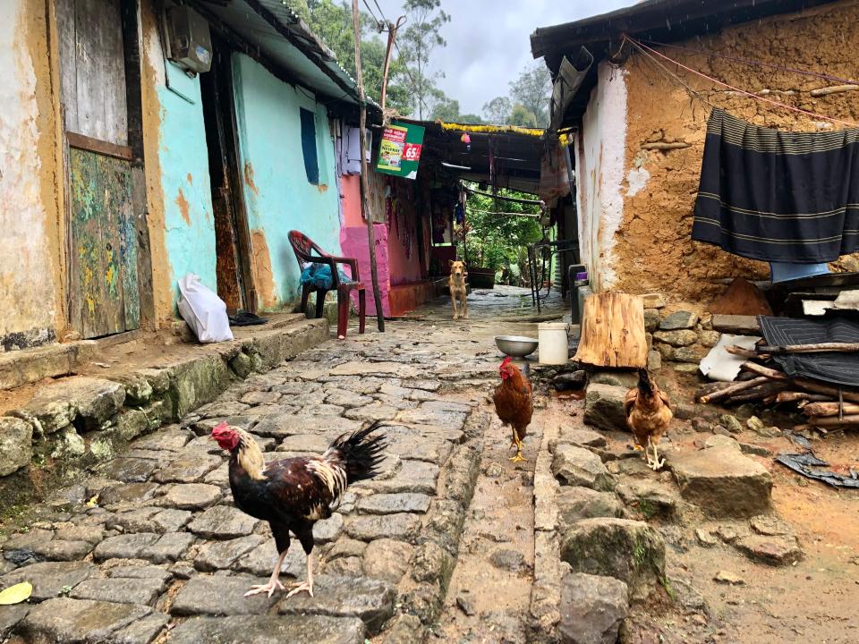 village road in sri lanka