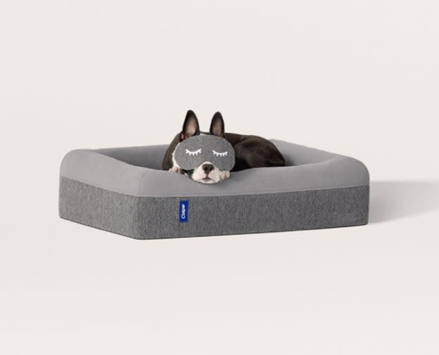 Dog Bed