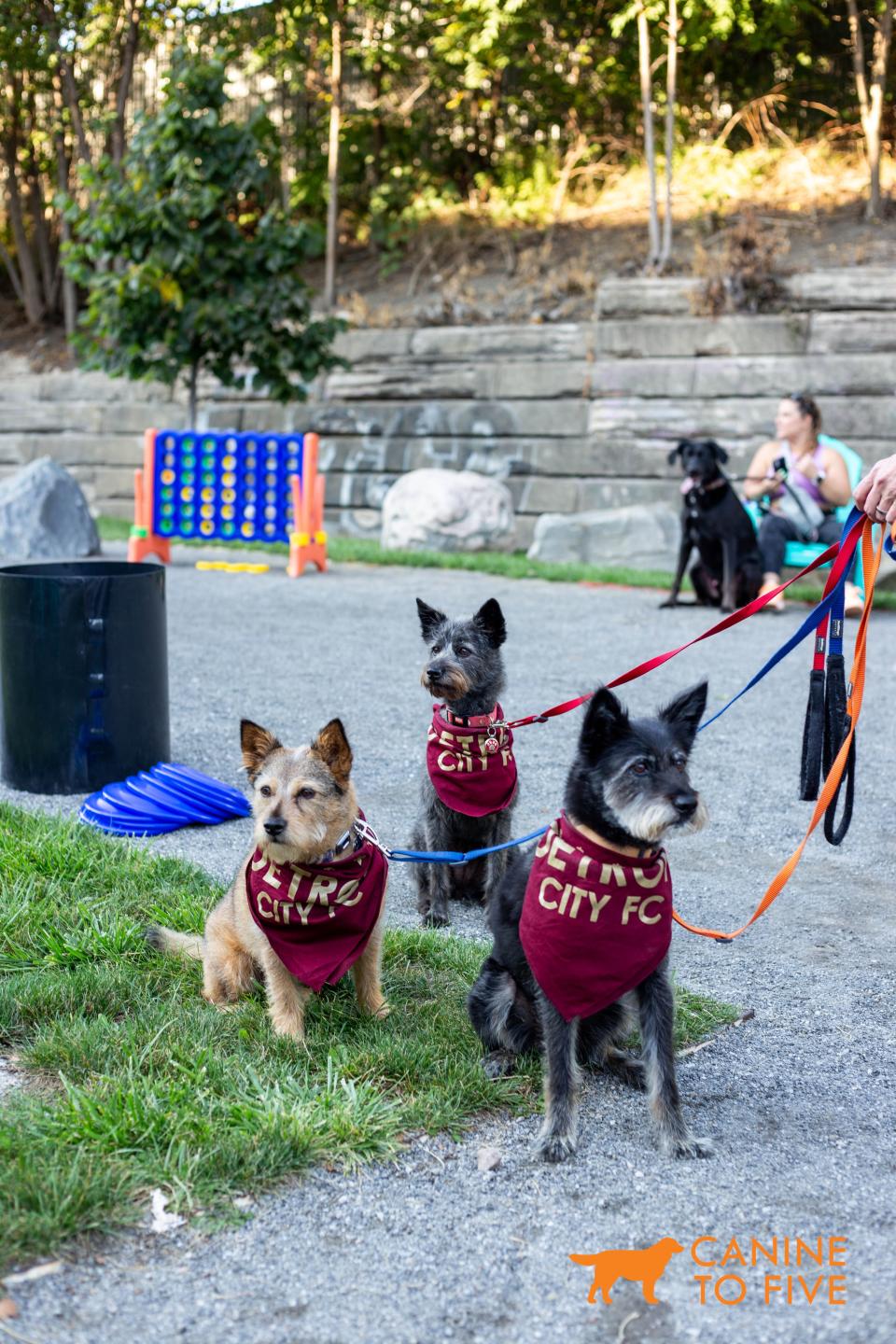 Drinking with Dogs, Canine to Five's annual event that invites owners to bring their dogs to local bars begins May 21 and runs through October.