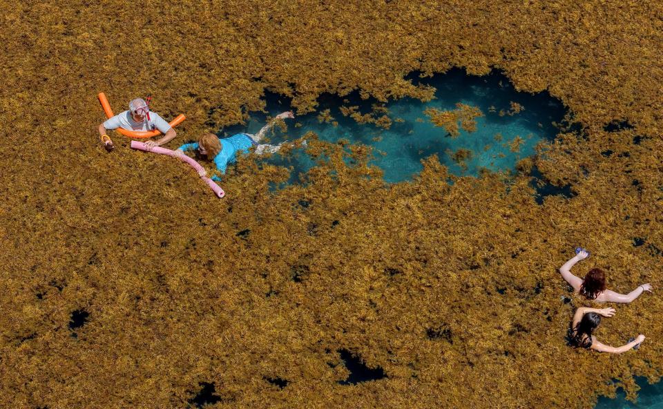People navigate their way through the seaweed while swimming near the Blue Heron Bridge in Riviera Beach in 2018.