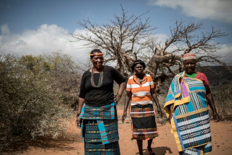 About 1,000 women in the village of Muswodi Dipeni, in the northern province of Limpopo, earn a living by harvesting the furry, hard-shelled baobab fruit pods