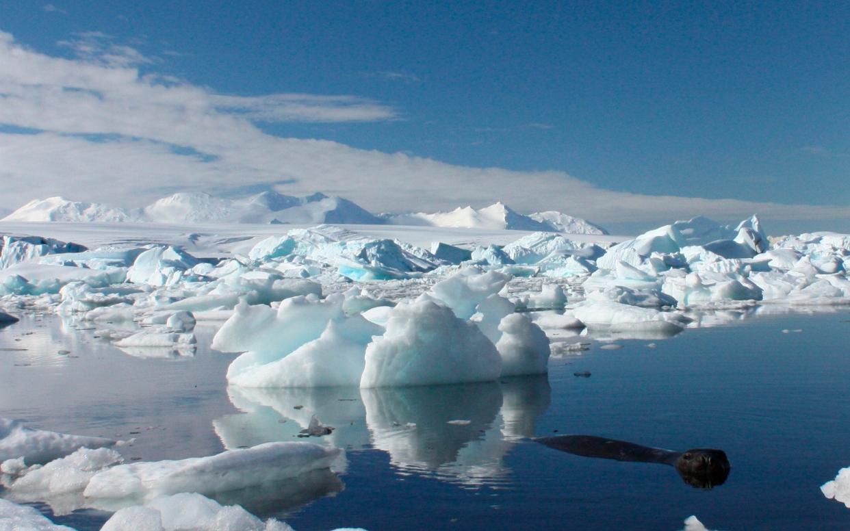 The discovery was made by British Antarctic Survey (BAS) researchers  - Reuters